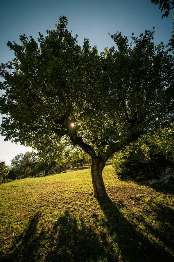 ポンタッシエーヴェ Podere Belvedere Tuscanyヴィラ エクステリア 写真